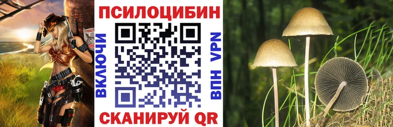 Галлюциногенные грибы MAGIC MUSHROOMS  МЕГА ссылки  Туран 